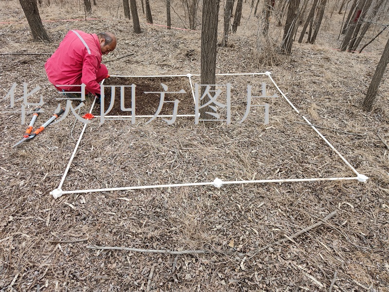 標(biāo)準(zhǔn)地樣方